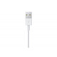 Кабель Apple Lightning/USB (1 м)