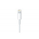 Кабель Apple Lightning/USB (1 м)